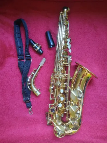 Saxofone alto Shelter