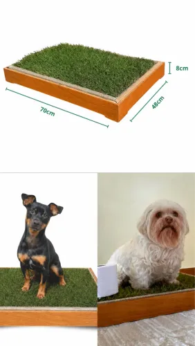 Banheiro ecológico para PET