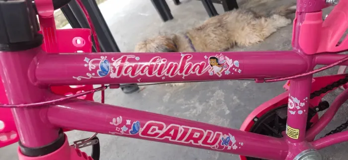 Bicicleta 