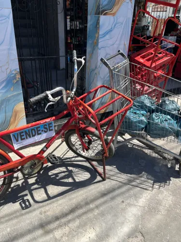 Bicicleta Cargueira
