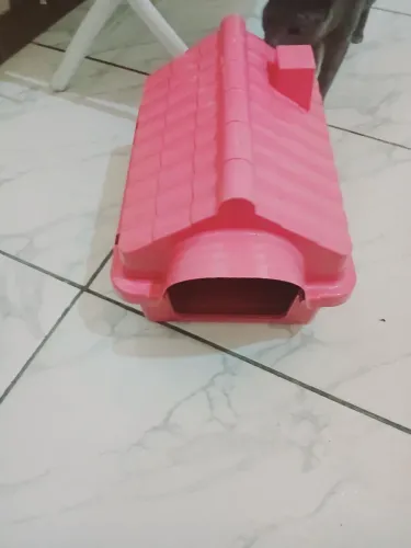 Casinha de gato