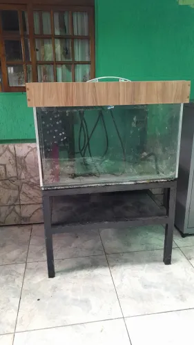 Aquário
