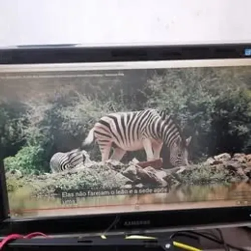 Monitor Sansung 23 Polegadas P2370 Para Monitorar Camera Leia  o Anuncio
