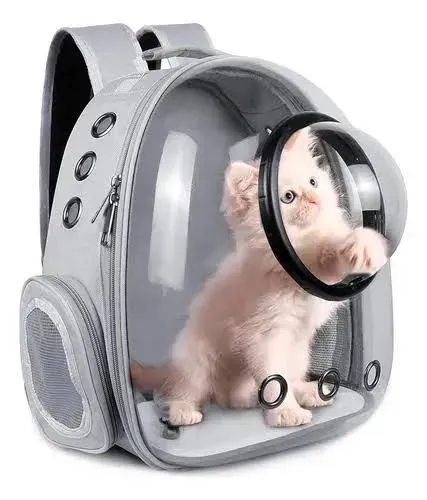 MOCHILA PET, NOVAS