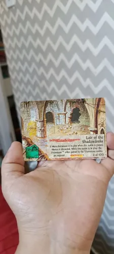 Carta Spellfire D&D 1996 - Dragon Cult: Lair of the Shadowdrake #3