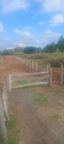 15 hectares terreno linha batista