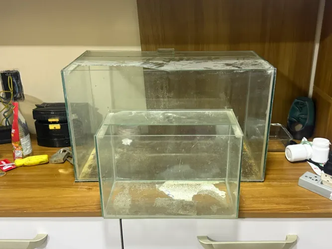 2 aquários 1 de 9L e um de 40L