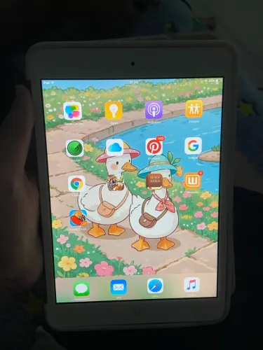 iPad mini 1
