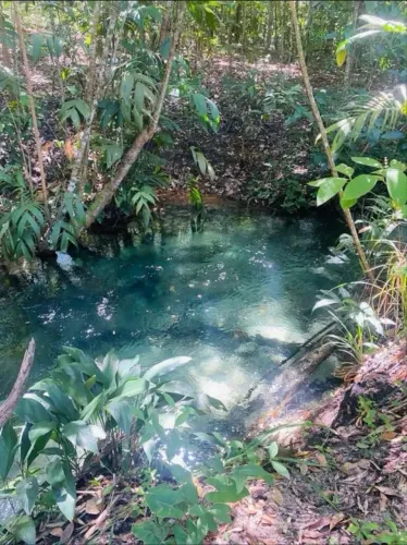 Sítio na Beira do Rio Formiga Jalapão 