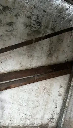 6 Madeiras para Telhados