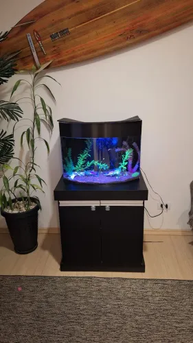 AQUARIO COMPLETO