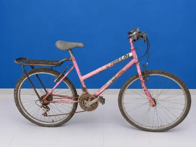 Caloi vintage