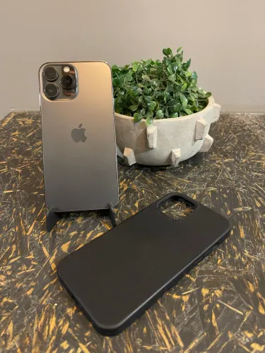 ?iPhone 12 pro Max