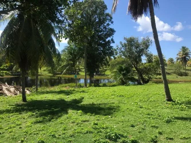 Busca Vida, melhor condominio 1100m2, lote plano, meio de quadra, excelente localização