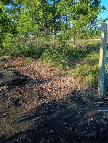 Lote em mucuri Bahia! Pra quem busca investimento e um custo benefício muito baixo 