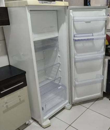 Parou de Gelar Geladeira Eletrolux Frosfree com 323 litros 