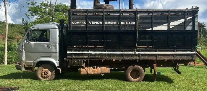 Subgrade gaiola para boiadeiro 3/4