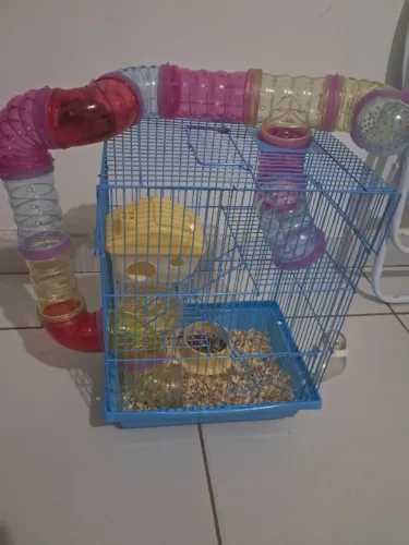 Hamister
