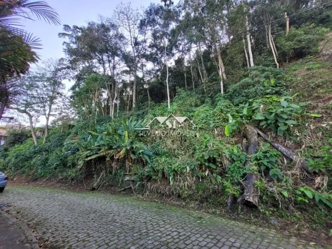 Terreno- Petrópolis, Valparaíso