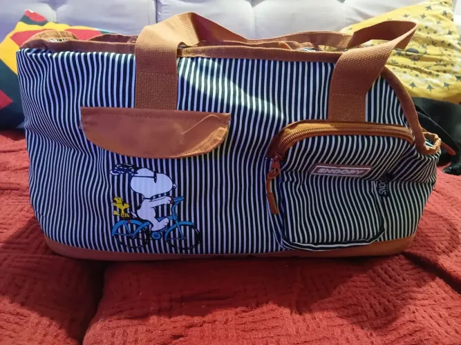 Bolsa de transporte e passeio pet