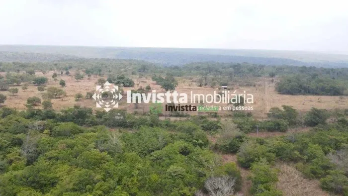 Fazenda de 103 alqueires com dupla aptidão à beira do asfalto em Aparecida do Rio Negro