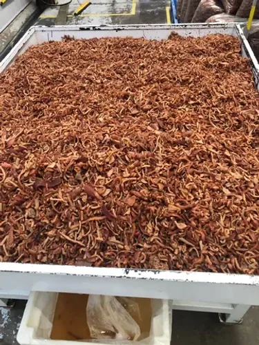 PELLETS PARA PRODUÇÃO DE TORRESMO