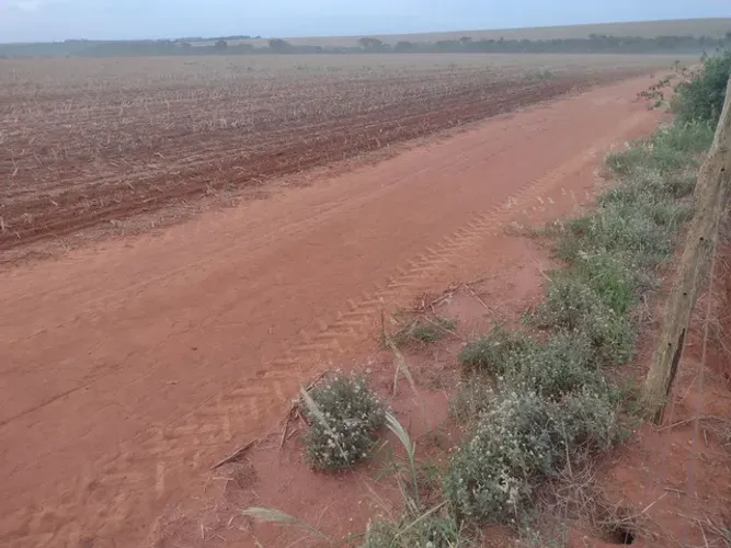 FAZENDA COM 400HEC PRA LAVOURA, NA REGIÃO DE UBERLÂNDIA!!