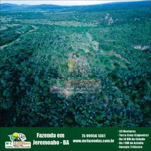 Fazenda à Venda em Jeremoabo - BA | 33 Hectares | Terra Crua(Capoeira)