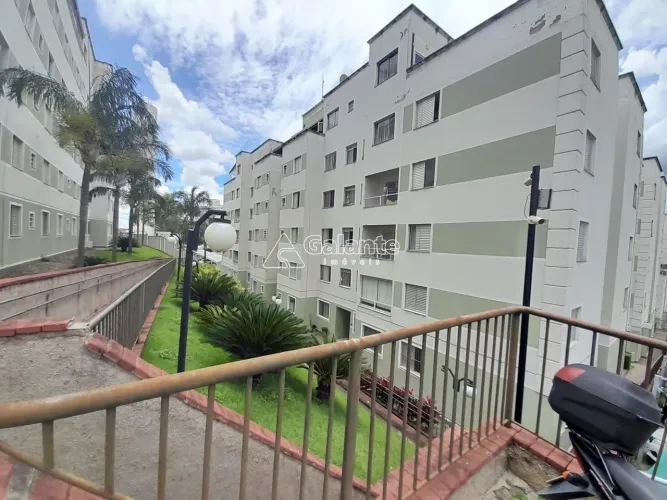 cobertura - Jardim Nova Europa - Campinas