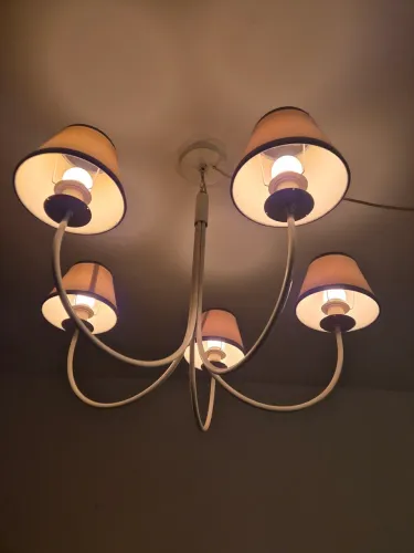 Lustre de 5 Braços com Cúpulas