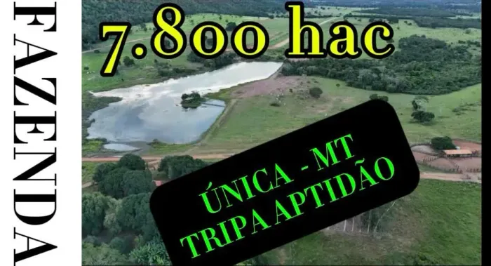 VENDO FAZENDA REGIÃO DE CÁCERES 7.800 HAC COM JAZIDA DE MÁRMORE CALACATA VATICANO EXPLORÇÃ