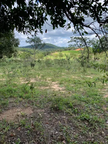 Chácaras / Terreno : Santa Luzia mg / Região Pinhões ( Angu Duro)