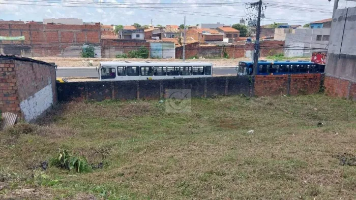 Venda - Área Excepcional para Investimento no Dom Luciano: 15 Edificações e Alto Potencial