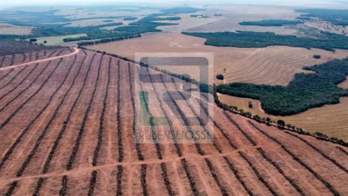 (MS) Fazenda em São Gabriel do Oeste com 440 Hectares