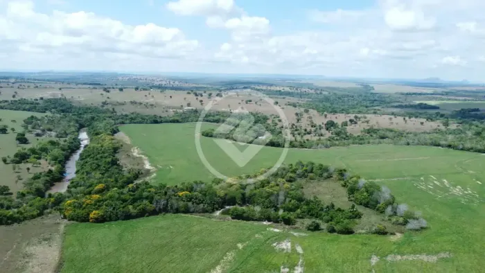 Doverlândia - Fazenda de 1753 hectares codigo: 142791