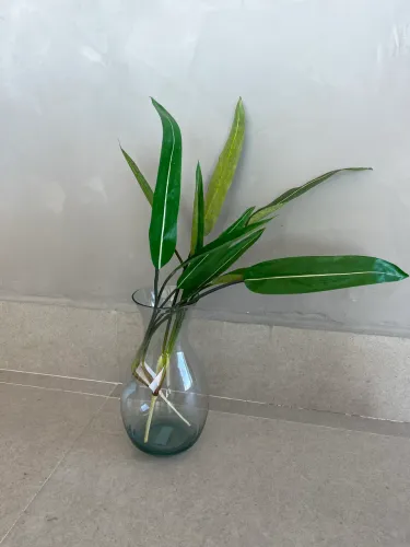 Vaso de vidro novo