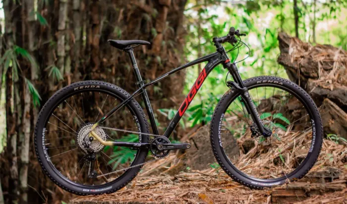 Bicicleta Oggi 7.3