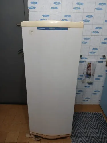 Geladeira Consul Degelo Seco 300 L - Branca