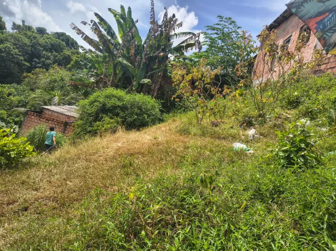 Vendo terreno no novo Israel