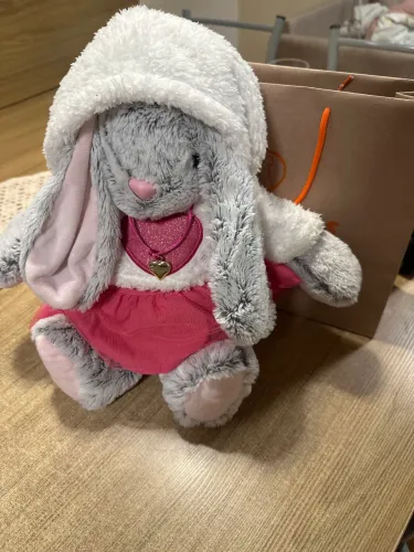 Urso criamigos