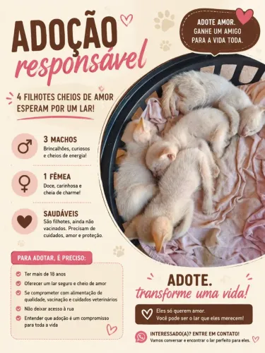 Adoção responsável 