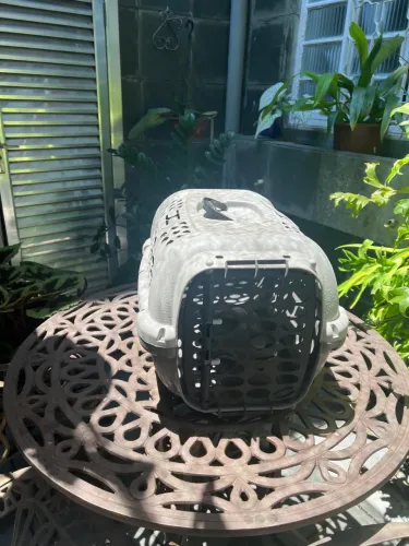 Caixa para transporte