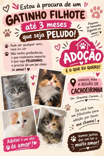 PROCURO filhote GATO pra ADOÇÃO se vc tem me chame !