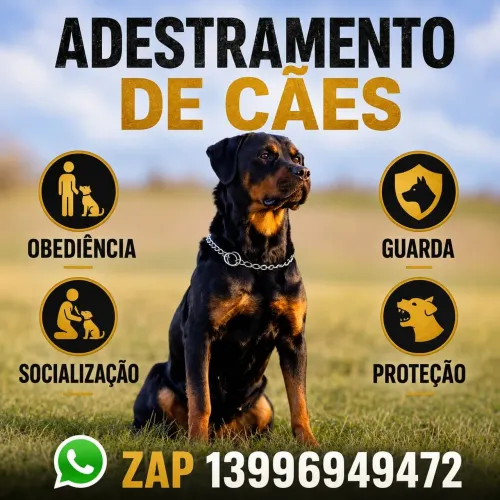 Adestramento de cães