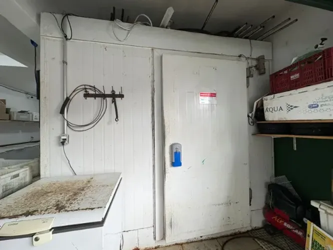Câmara Fria - Congela e Refrigera