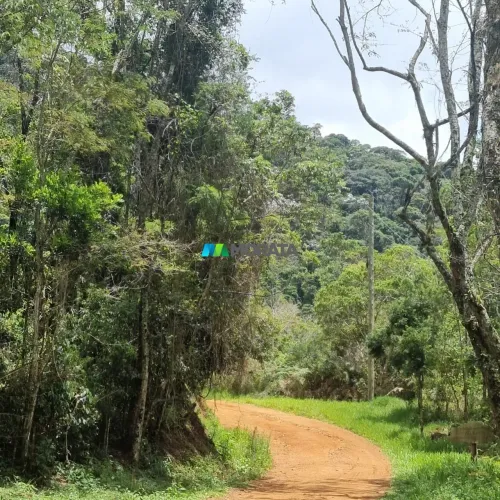 ÁREA DE RESERVA / COMPENSAÇÃO AMBIENTAL - 300 HECTARES - FERVEDOURO (MG)