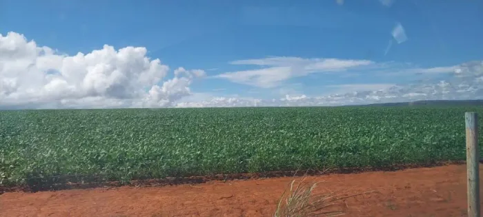 Fazenda à venda, AREA RURAL DE SAO JOAO D'ALIANÇA-GO - São João D'Aliança/GO