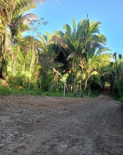LOTES RURAIS PARCELADOS
