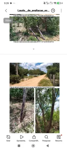 Área à venda, m² por R$ 1.500.000,00 - Zona Rural - Pilão Arcado/BA