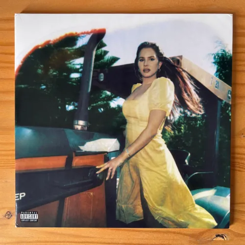 Disco de Vinil LP Lana Del Rey - Blue Banisters
